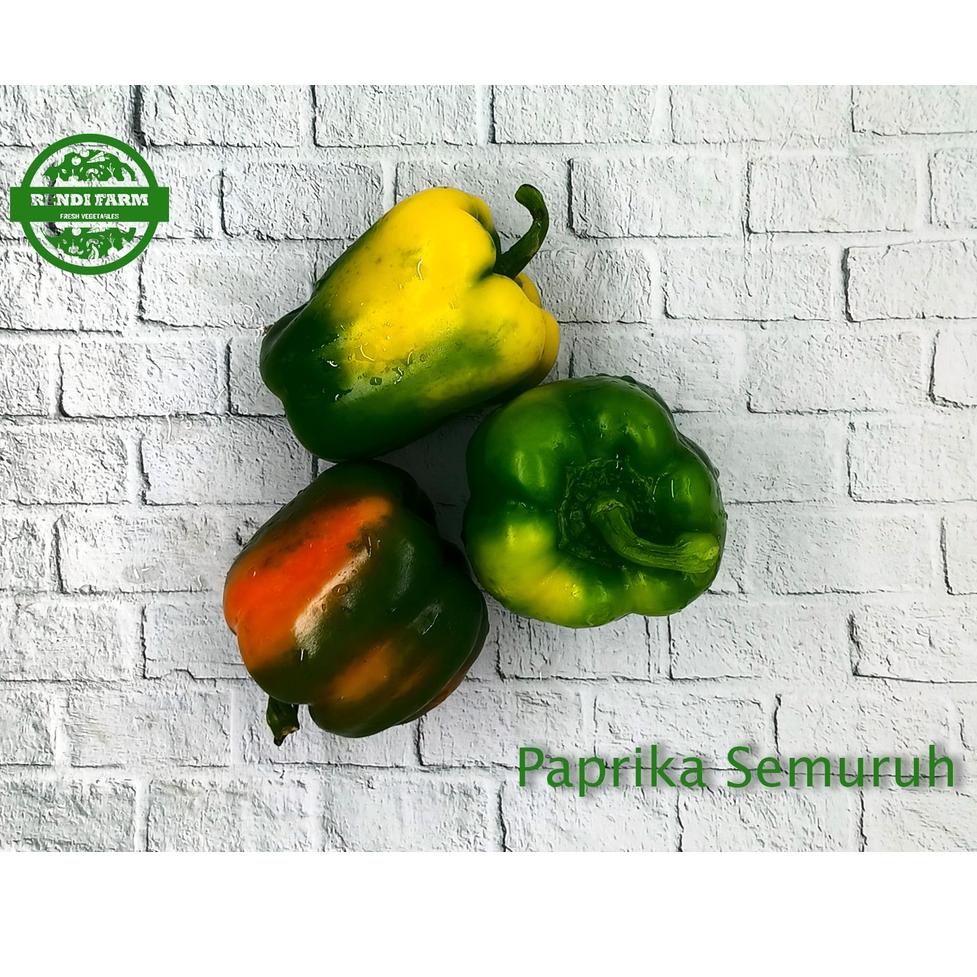 

Stock banyak PAPRIKA SEMURUH / PAPRIKA BERUBAH WARNA / SAYURAN /SAYURAN SEGAR 1 KG 06