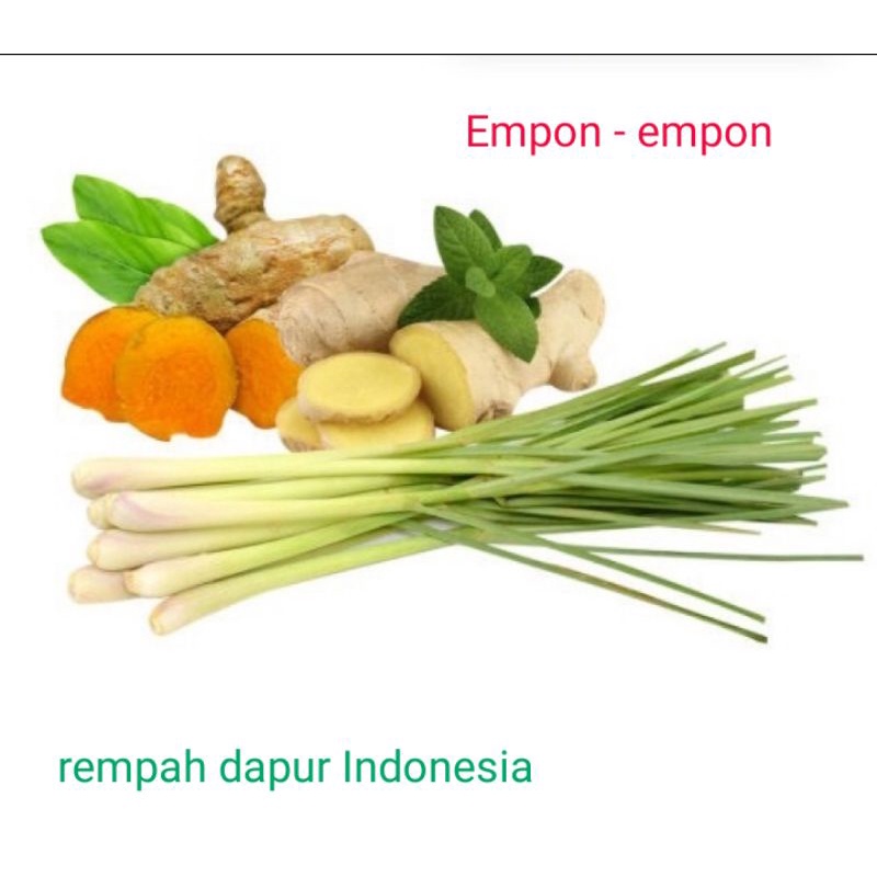 

paket komplit empon - empon / rempah - rempah bumbu dapur komplit bumbu jawa bumbu khas Indonesia