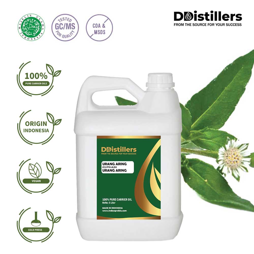 Urang Aring / Urang Aring Carrier Oil Asli 100%, 5L HDPE