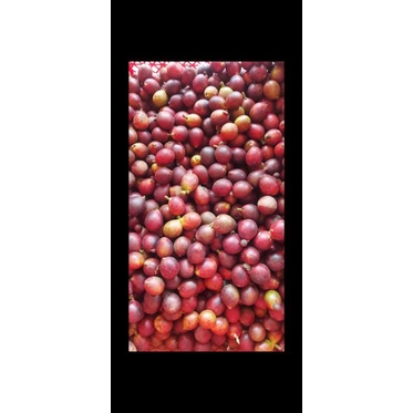 

buah matoa