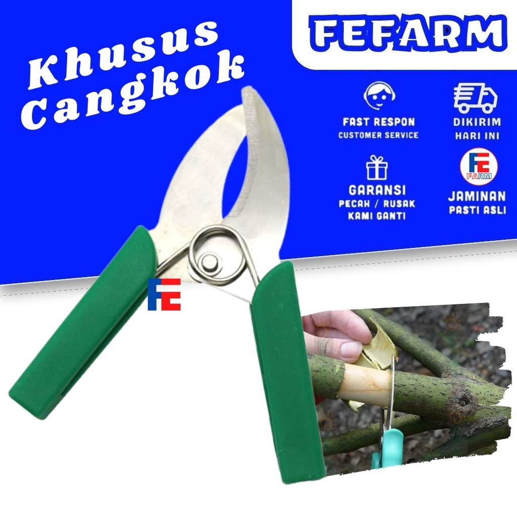 Gunting Cangkok Tanaman Bunga Hias Grafting FEFARM