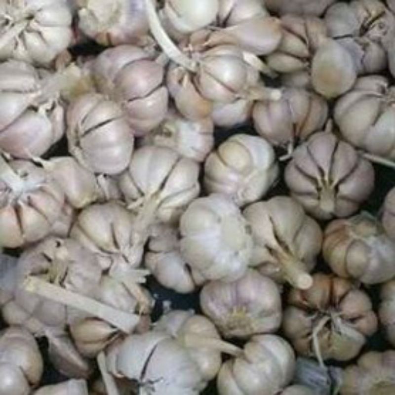 

bawang putih bersih 250 gram produk langsung di kirim