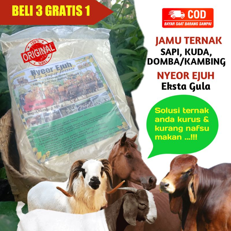 JAMU SAPI KUDA KAMBING ATAU DOMBA