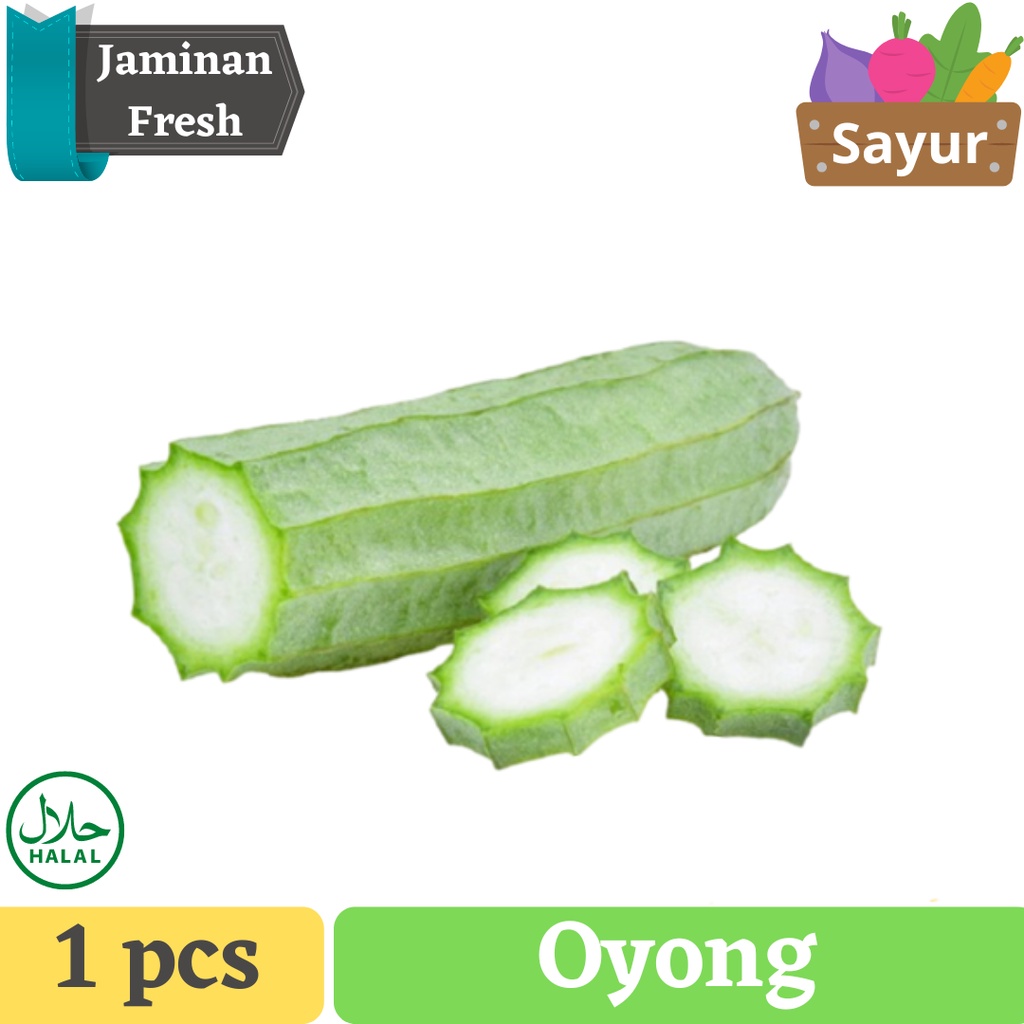 

Oyong |Sayur Gambas Pangan Export Indonesia