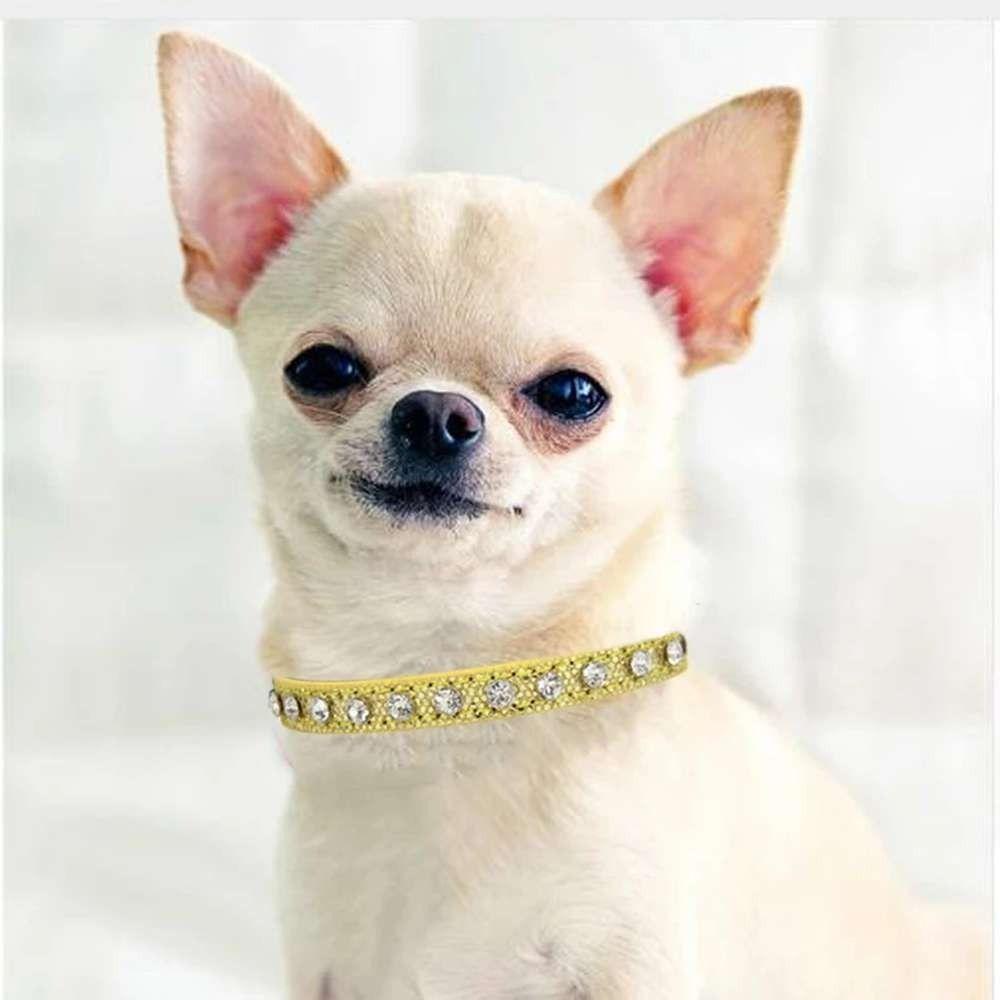 Solighter Anjing Berlian Imitasi Kerah Fashion Rhinestones Adjustable Kristal Berlian Liontin