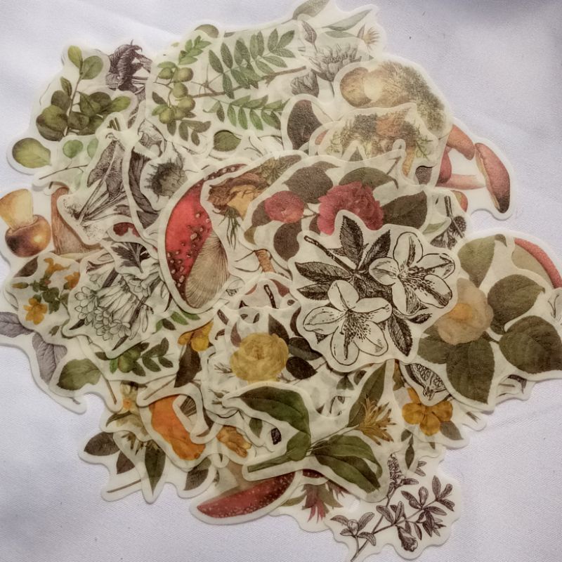 

Hazzel Stiker Jurnal • Botanical Vintage Washi Sticker