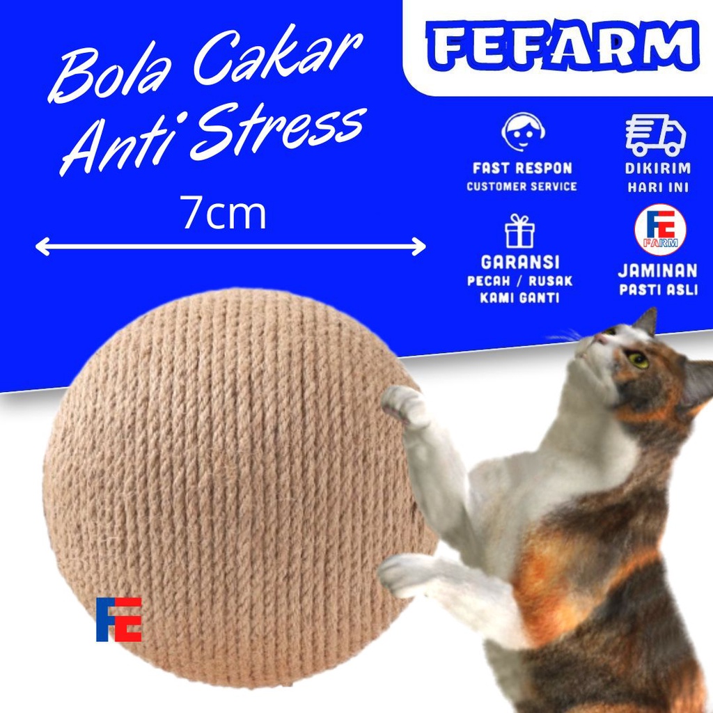 Cat Scratcher Garukan Kucing Bola FEFARM