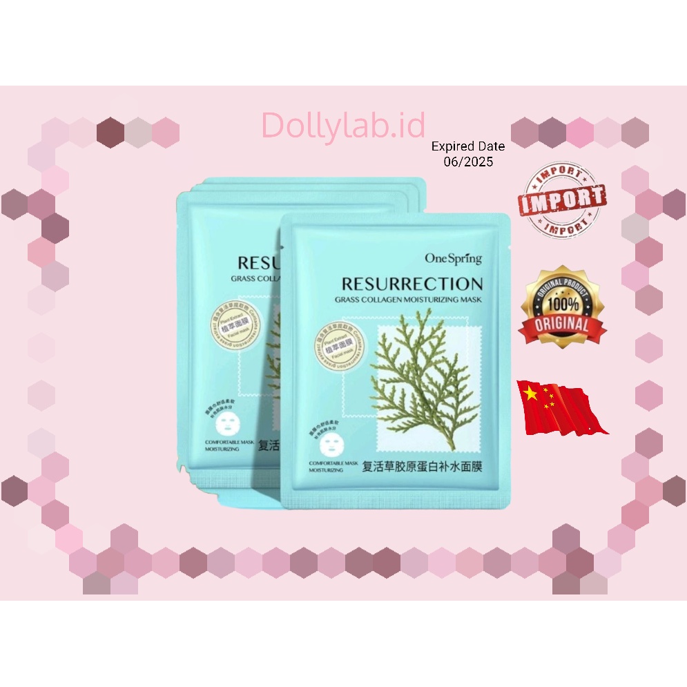 ONE SPRING Plant Extract Sheet Mask Masker Muka Moisturizing EM010