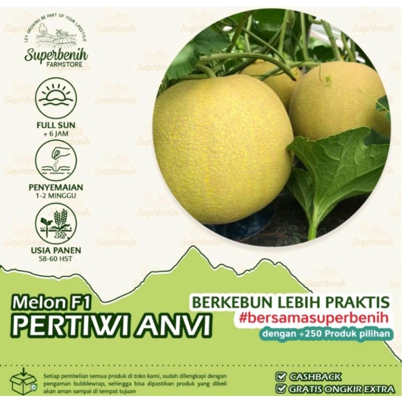 3 biji Bibit Benih Melon Hijau Pertiwi F1 Dataran Rendah