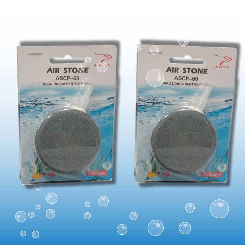 Batu Airstone Aerator Lempeng ROSSTON ASCP 60