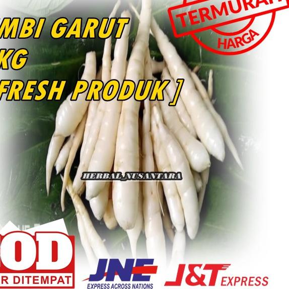 

limited STOCK![ Readystock ] 1Kg Ubi Garut Segar|SQ2