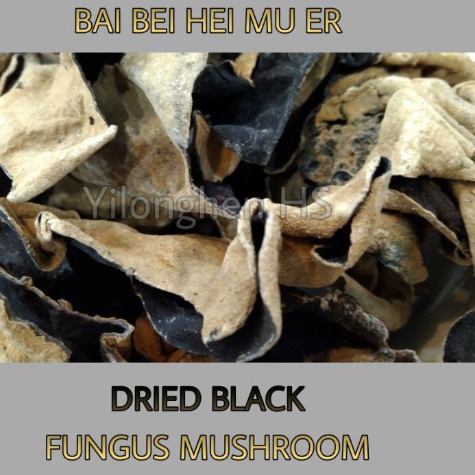 

Import Terlaris Bai Bei Hei Mu Er 100 gram Jamur Kuping Hitam Putih White Black Fungus serbuuu !