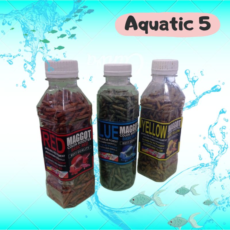 Makanan Ikan Fish lover MAGGOT BOTOL BASIC BLUE RED YELLOW 60gr