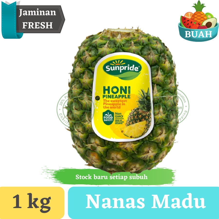 

Nanas Madu | Buah Pangan Export Indonesia