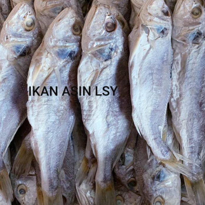 

10.10 ✨SALE✨ ikan asin samge / kepala batu 500 gram 
