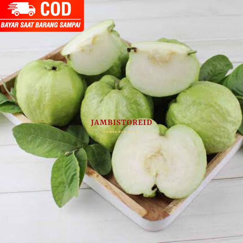 

(JAMBISTOREID) Buah Jambu Kristal Premium 1kg Crystal Guava Buah Unik Import Impor Jambi