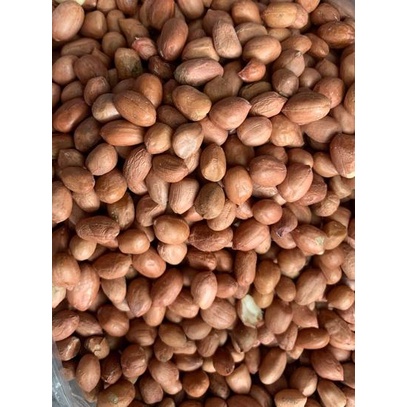 

BISA COD ✔️Kacang Tanah Kulit Tuban 1 kg|SQ6