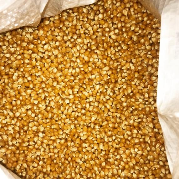 

TERLARIS BRANDS FESTIVAL Jagung Popcorn King Pop 1kg serbuuu !