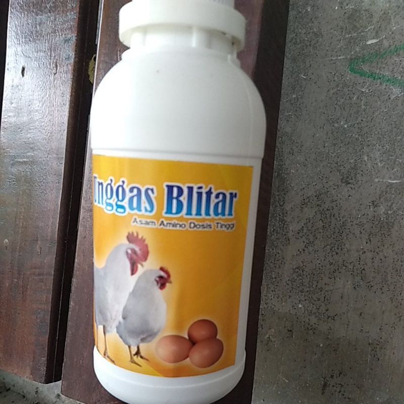asam amino unggas ayam sapi kambing