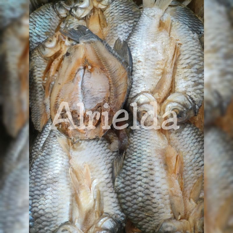 

IKAN ASIN TAWES BESAR 500GRAM