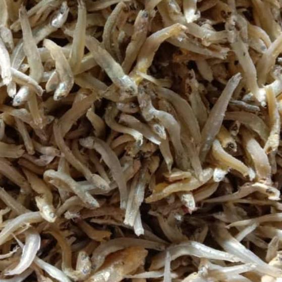 

BAYAR DITEMPAT✔️Teri Buntiaw 250 gr|KD7