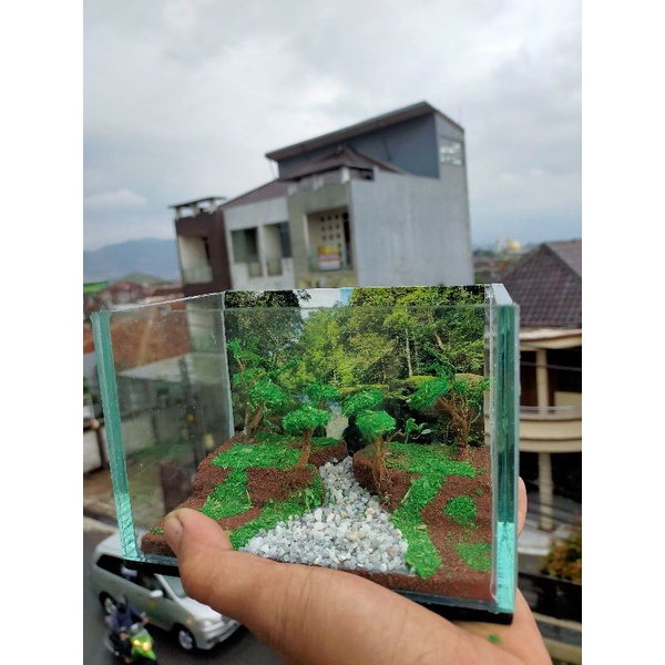 akuarium baby chana/akuarium cupang unik tema jungleland