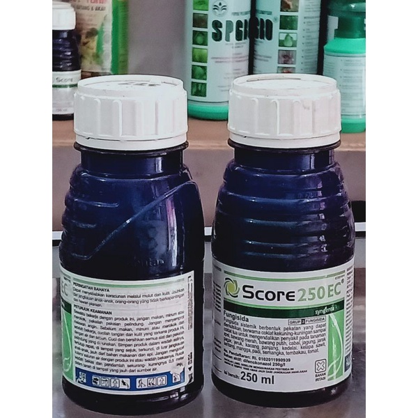 SCORE 250 EC/Fungisida