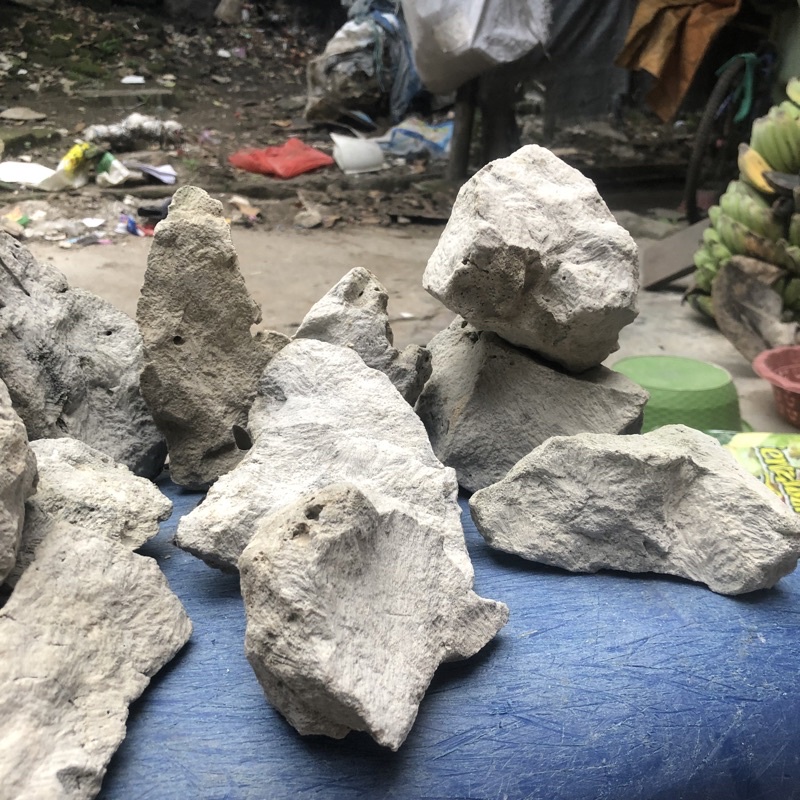 BATU KARANG LAUT 1KG BENTUK TEBING AQUASCAPE AKUARIUM