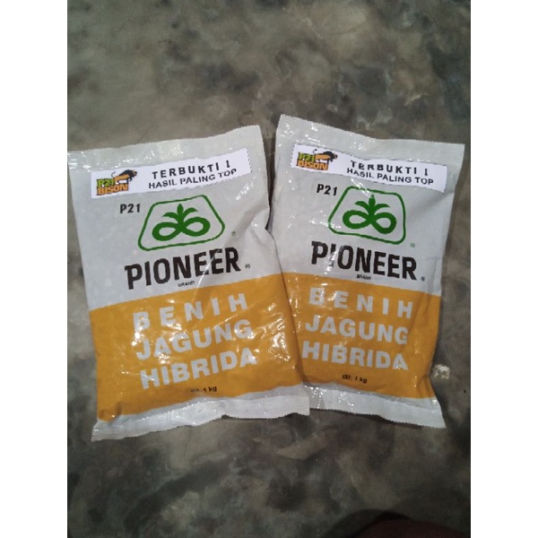 BENIH JAGUNG HIBRIDA PIONER P 21 BISON 1KG