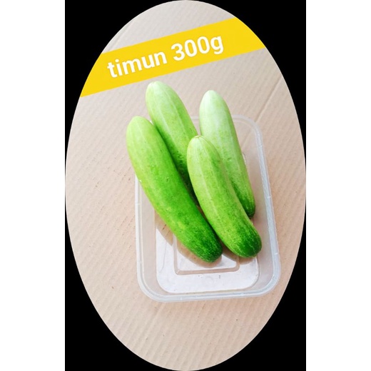 

KIRIM INSTAN Timun baby fres termurah