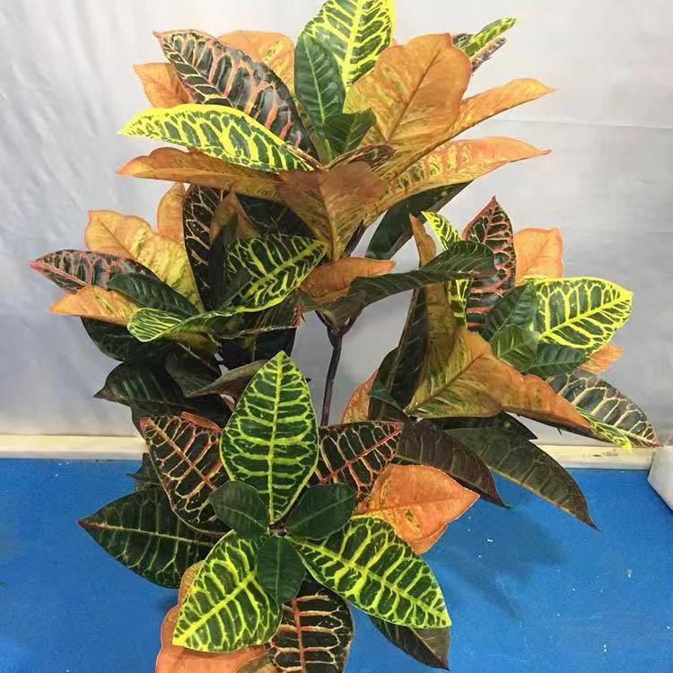 AND / COD / Tanaman Pohon Hias Plastik Dekorasi Ruangan Rumah Artificial Croton Plant Tanaman Hias PBP81