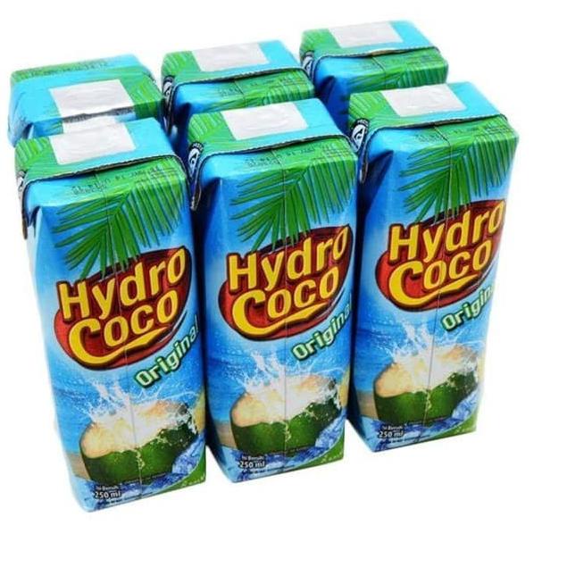 

art5m0La--Hydro Coco 250ml 6PCS