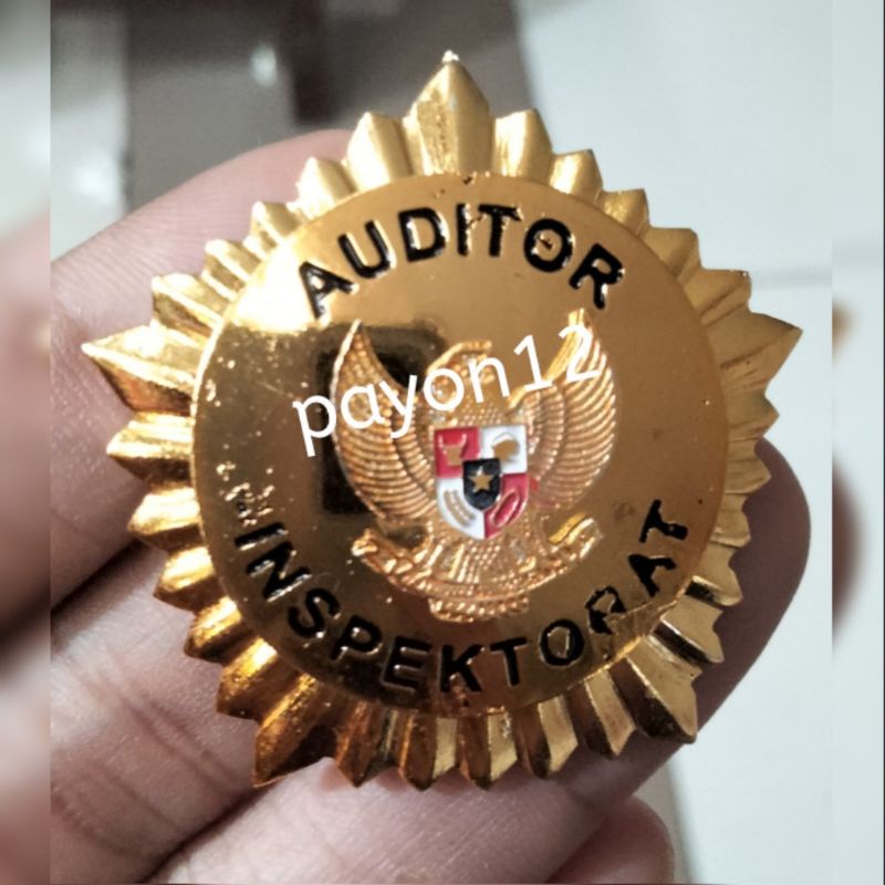 pin auditor inspectoratmagnet
