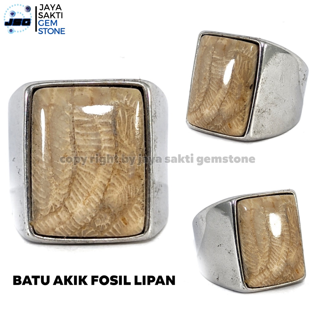 Batu Akik Posil Motif Lipan PL01