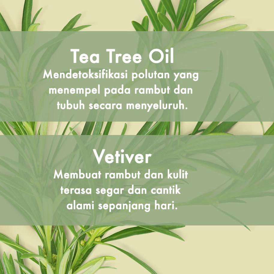 ✓ Love Beauty & Planet Vegan Body Wash Tea Tree Oil & Vetiver Purifying & Gentle Detox 400ml Update