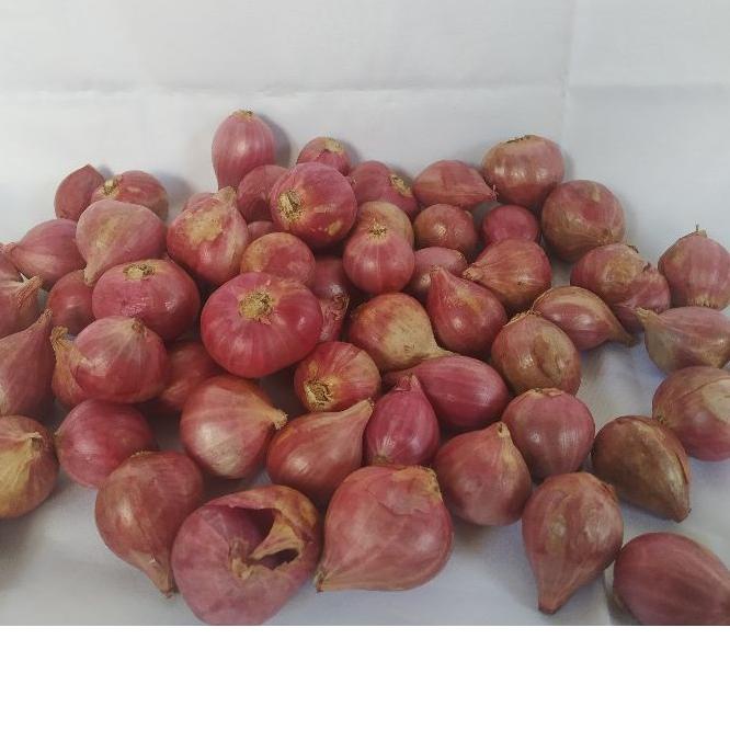 

SALE✅BARU!! bawang merah 1kg Super murah|SQ1