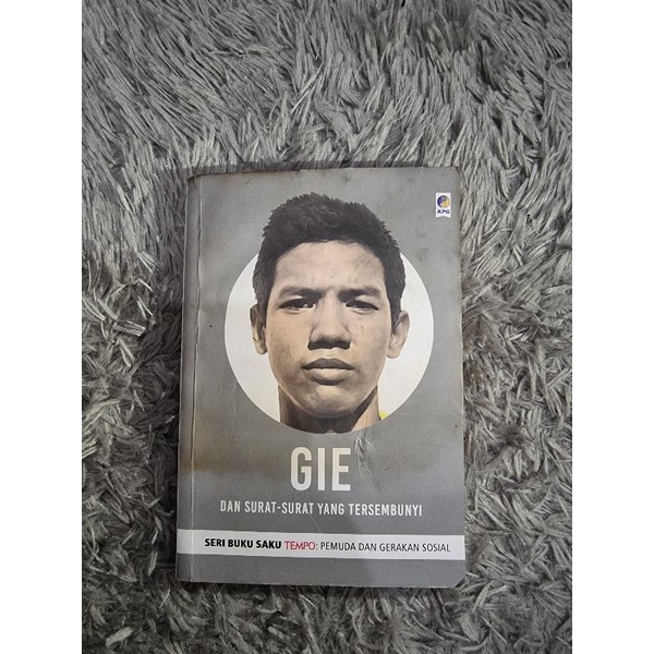 Buku Gie Dan Surat Surat Yang Terlupakan