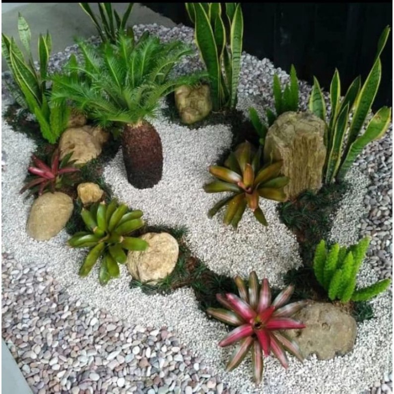 Taman modern minimalis/Taman kering/Taman Rumput/Tukang Taman