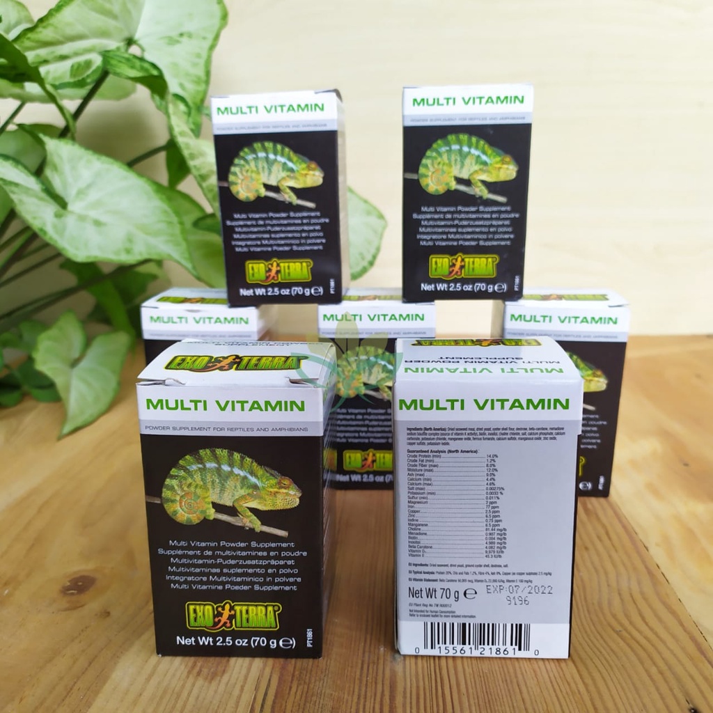 Jual Exoterra Multivitamin 70 gram Multi Vitamin Reptil Torto BD Iguana