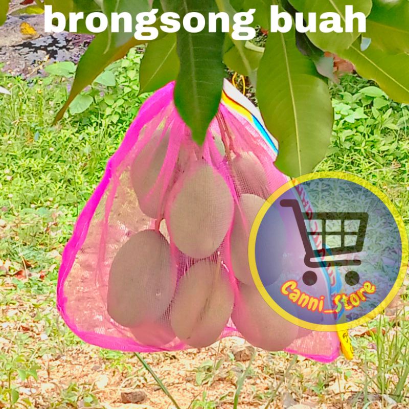 Brongsong buah mangga,kelengkeng,jambu