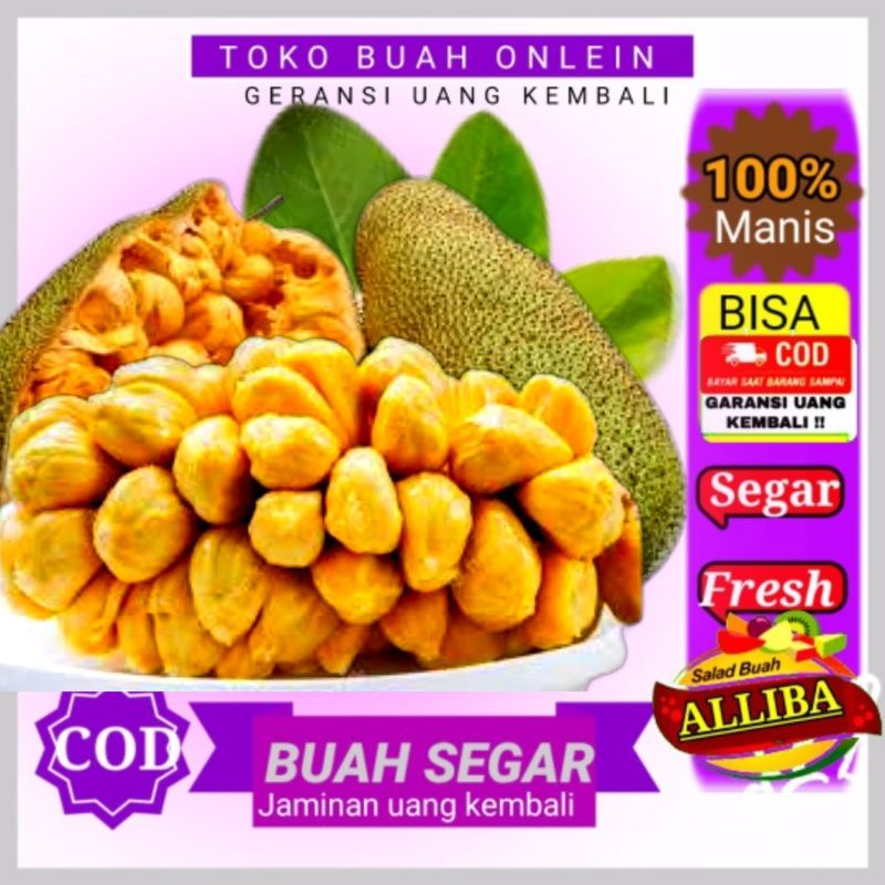 

buah campedak camidak manis 1kg segar
