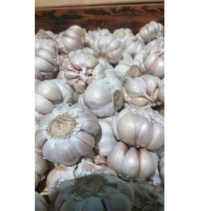 

Check Here--Bawang Putih 500gr
