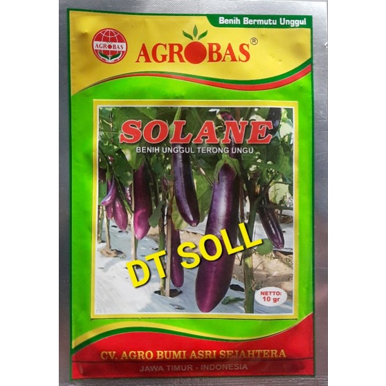 Benih Unggul Terong  Ungu Solane 10gr