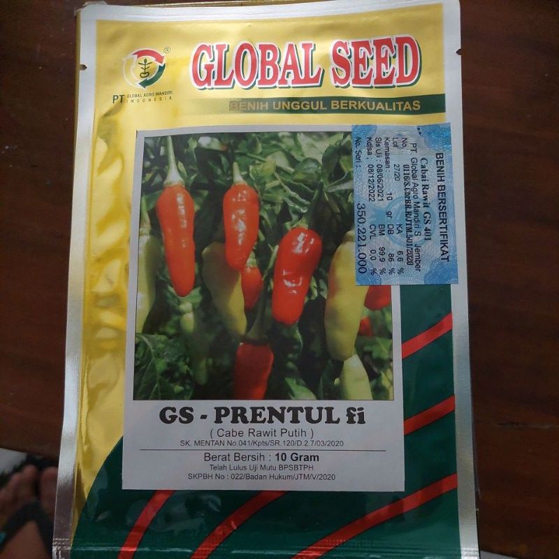 benih cabe rawit gs-prentul f1