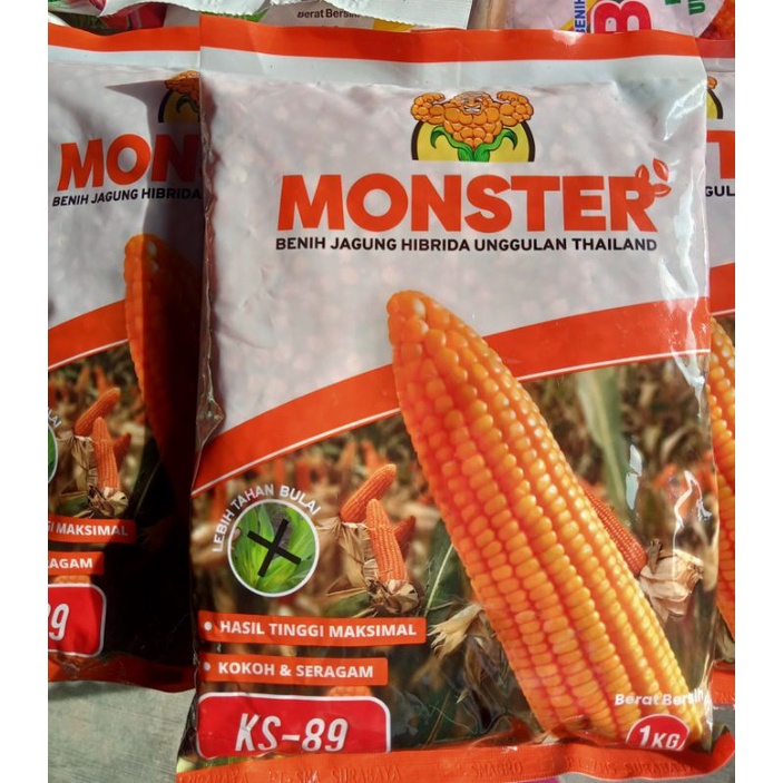 Benih Jagung Hibrida MONSTER KS-99 (ORIGINAL) 1kg