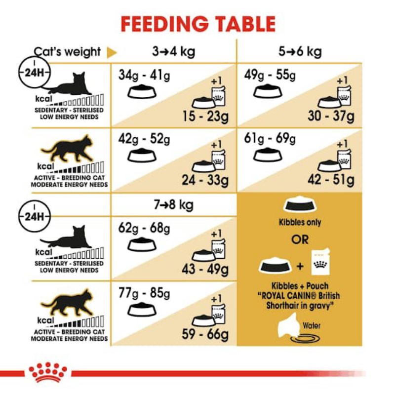 Royal Canin British Shorthair 4kg / Dry Food Royal Canin British Shorthair