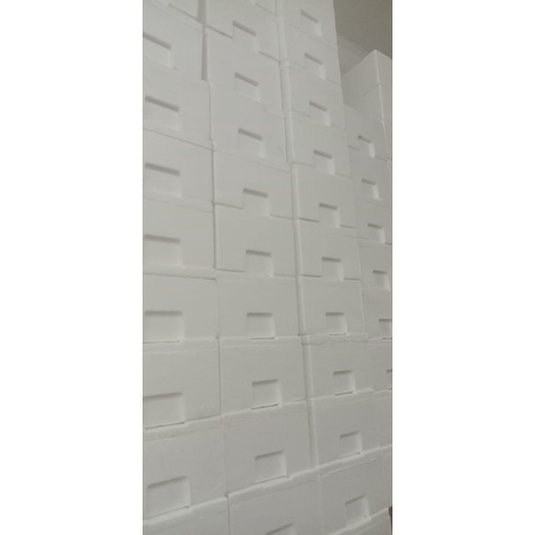 

InJO Extra packing STYROFOAM BOX dan ICE PACK