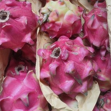 

Buah Naga Merah Manis Segar