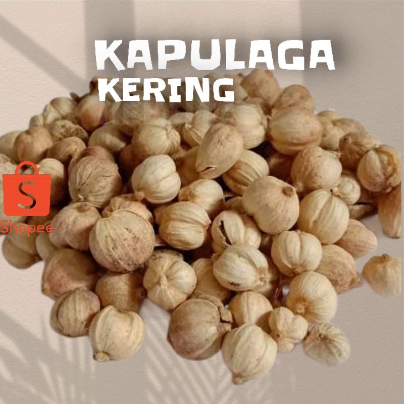 

Kapulaga Kering 1Kg Kapolaga True Cardamom Kapulaga Super