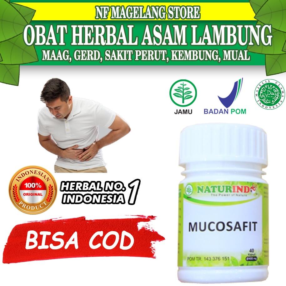Obat Maag Obat Maag Kronis Ampuh Obat Maag Asam Lambung Obat Maag Herbal Obat Maag Kronis